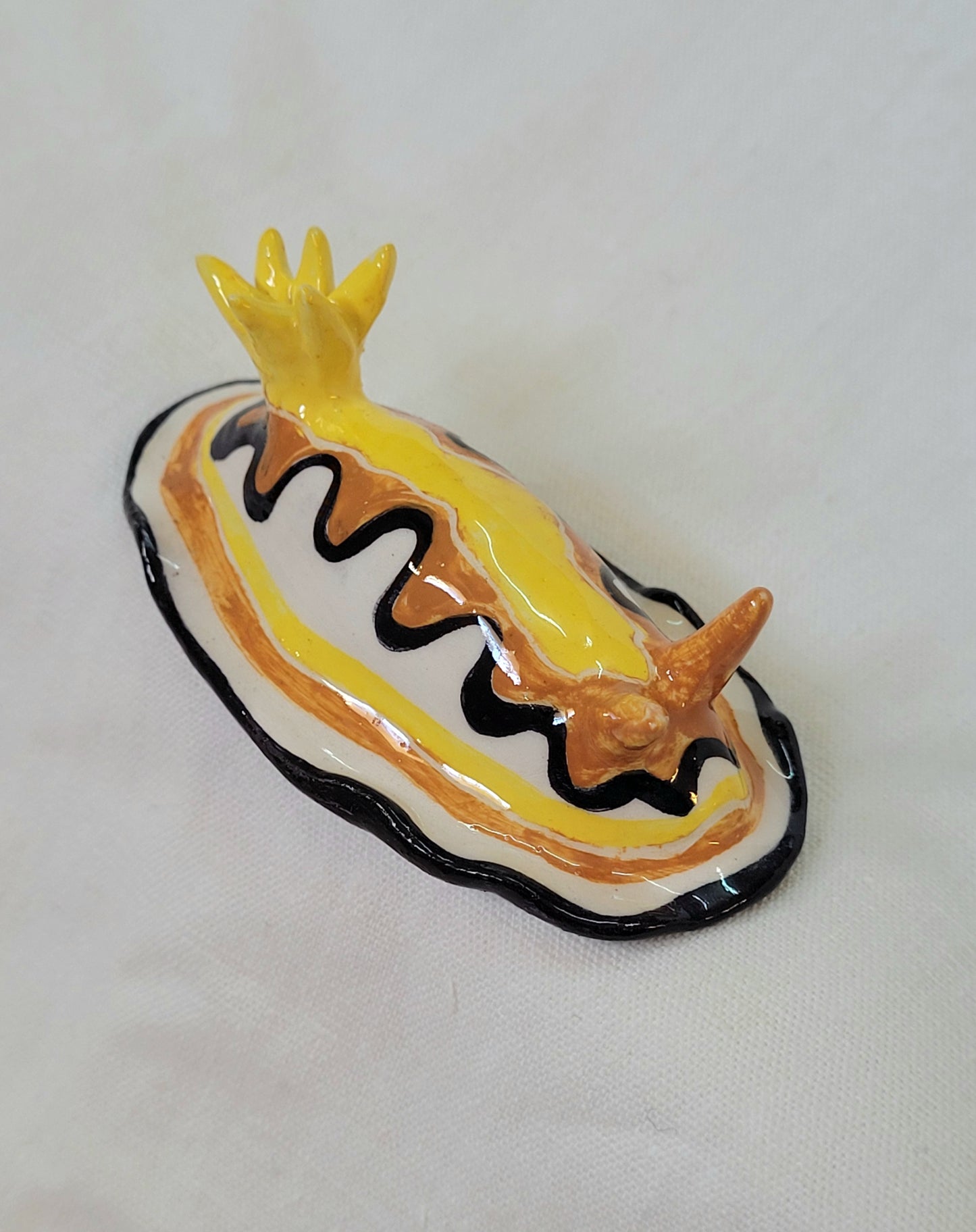 Nudibranche