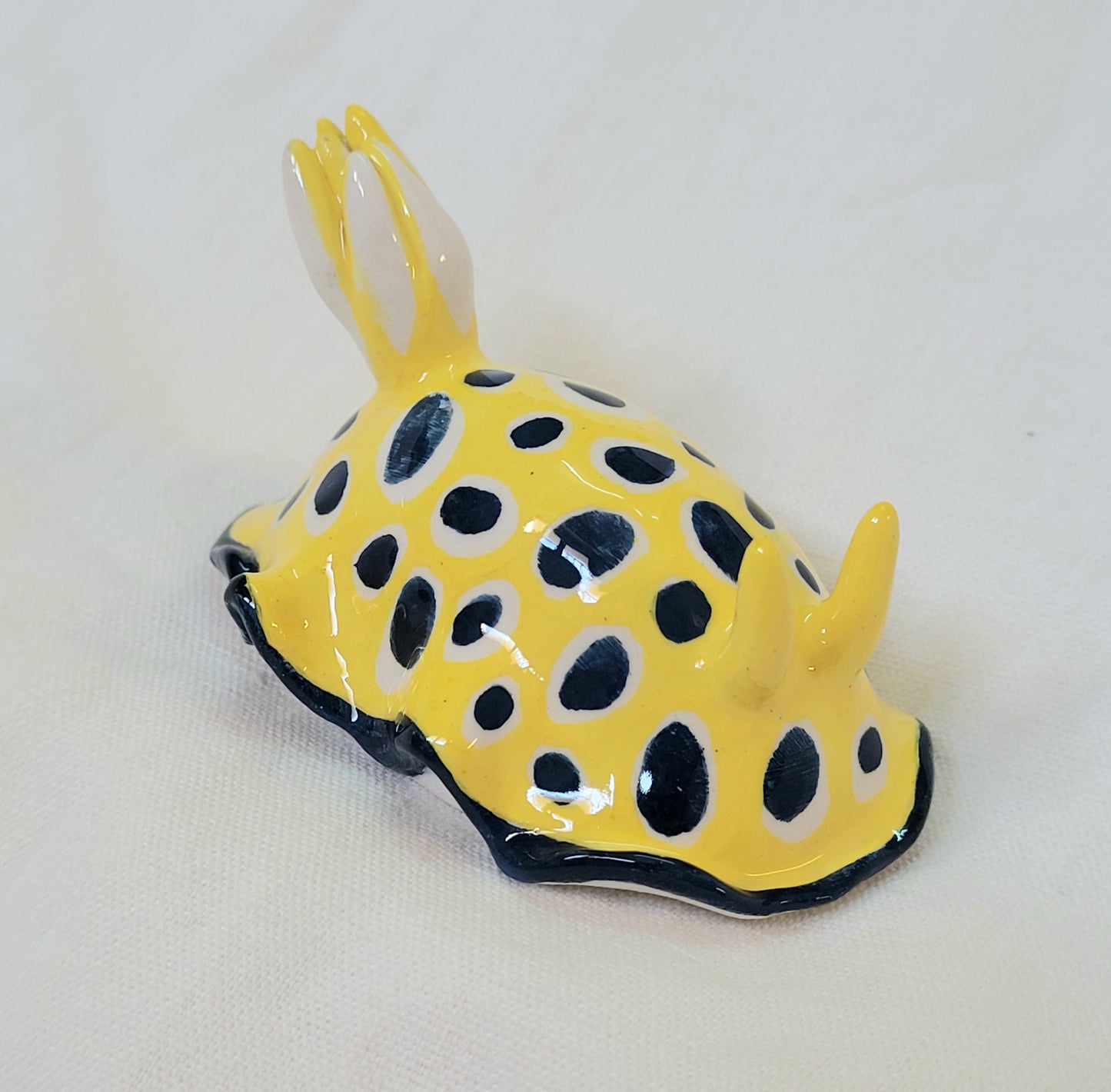 Nudibranche