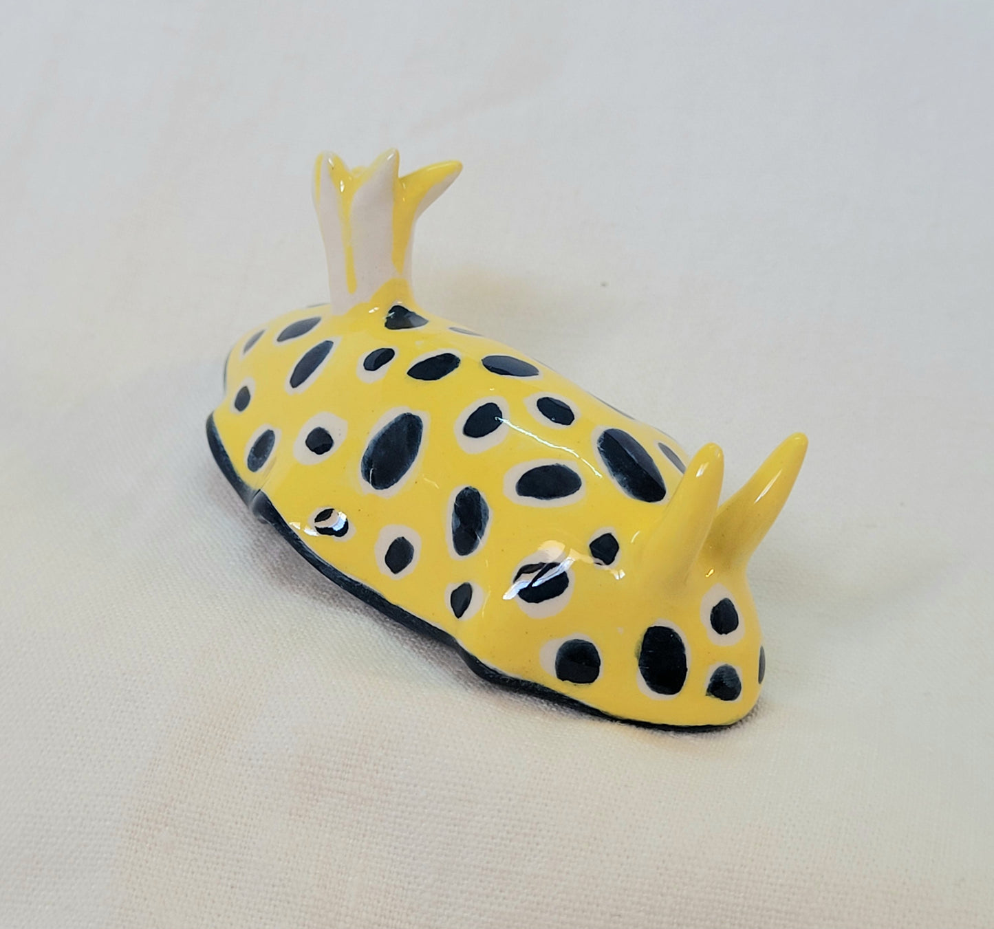 Nudibranche