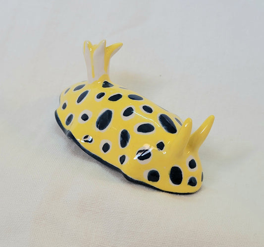 Nudibranche