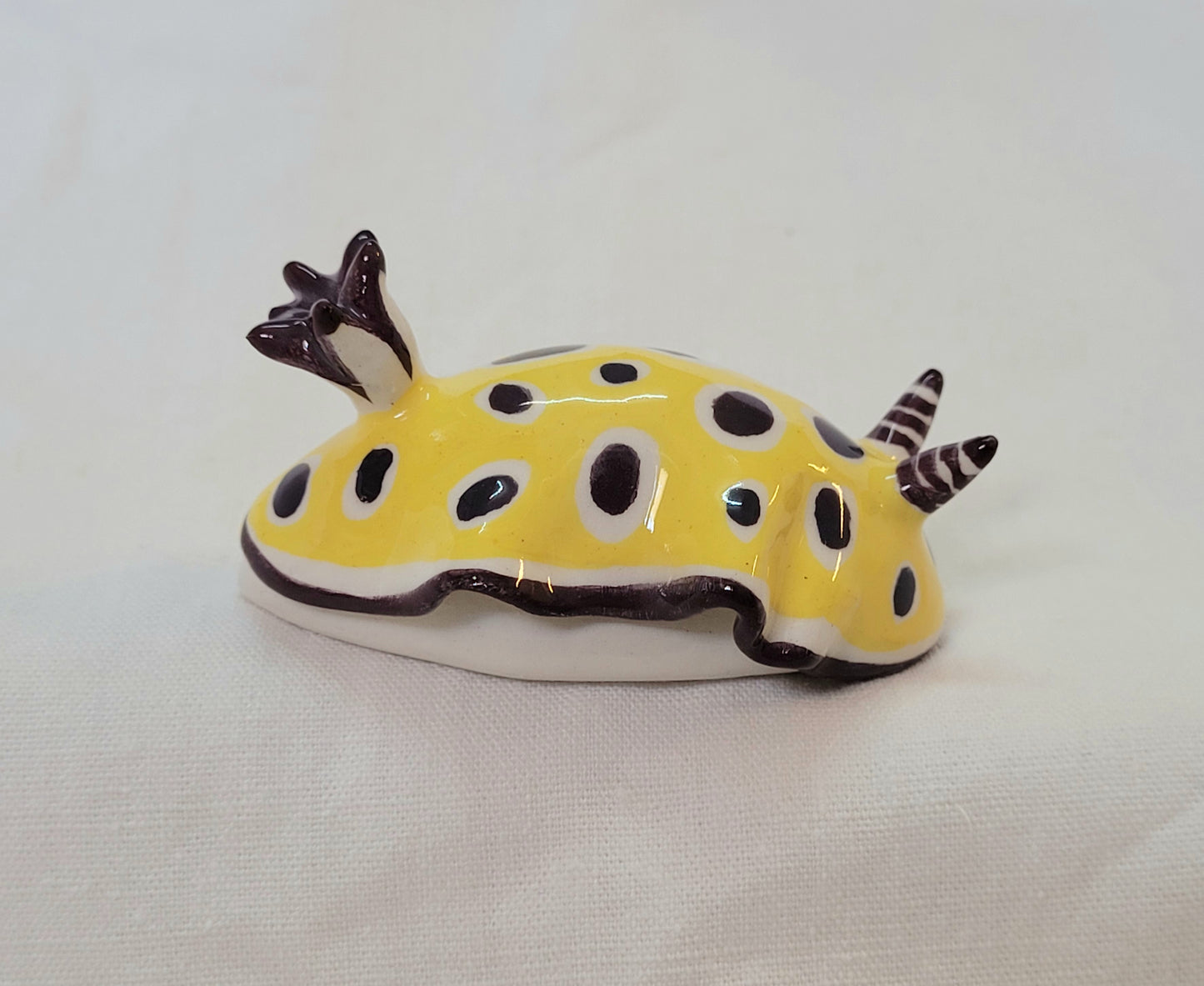 Nudibranche