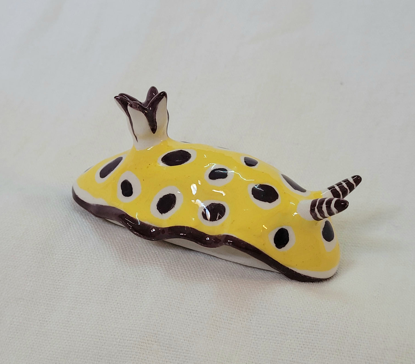 Nudibranche