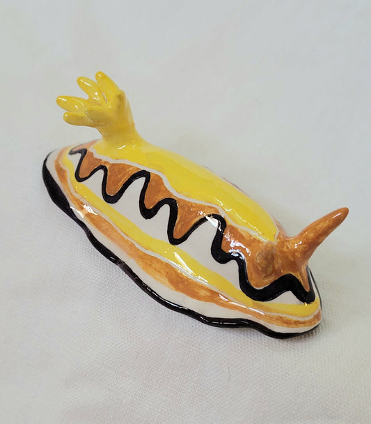 Nudibranche