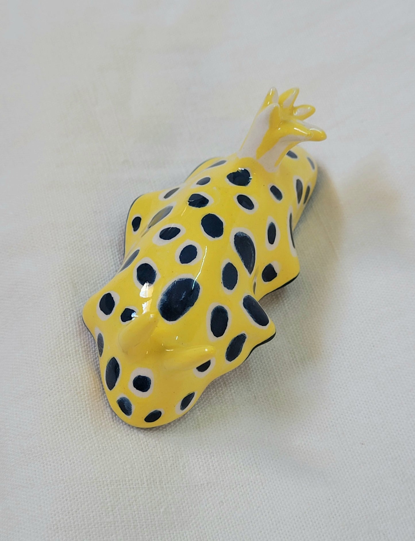 Nudibranche