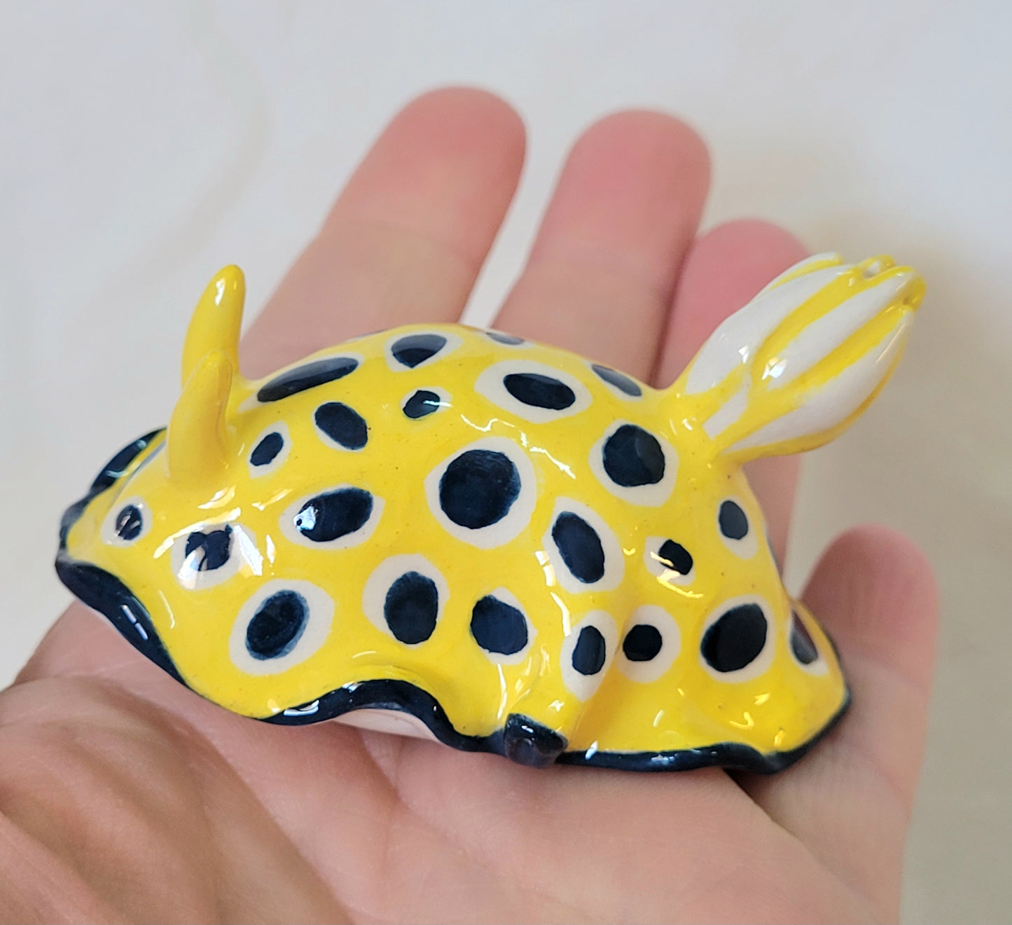 Nudibranche